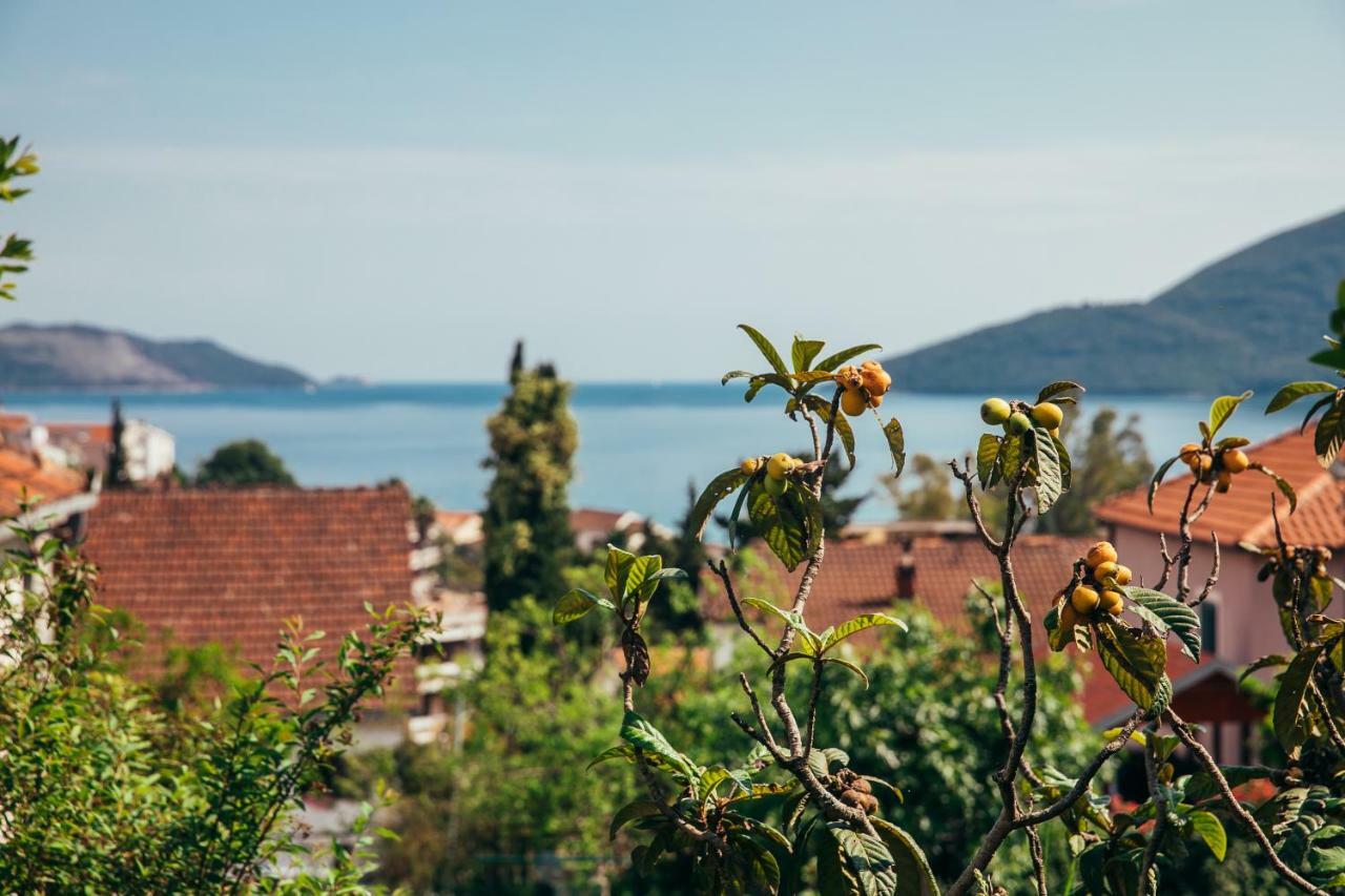 Green Garden Apartments Herceg Novi Exterior photo